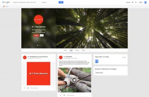 Google Plus - A1